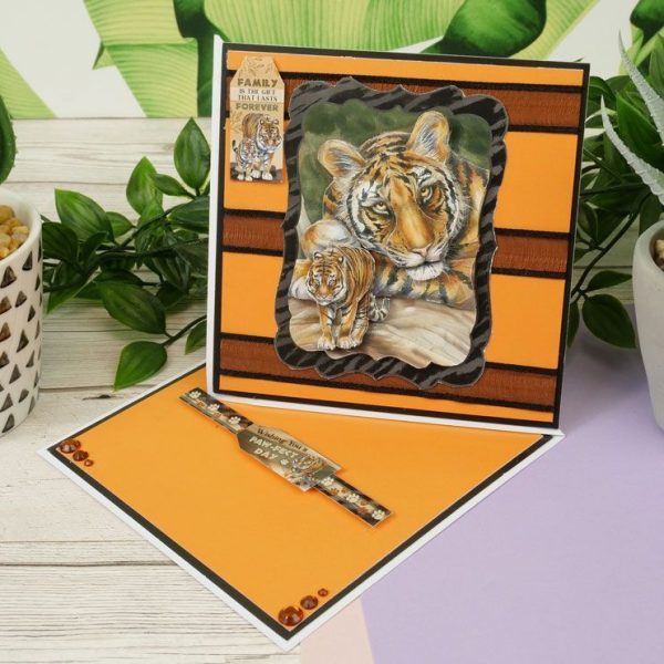 Animal Kingdom Decoupage Book Discount