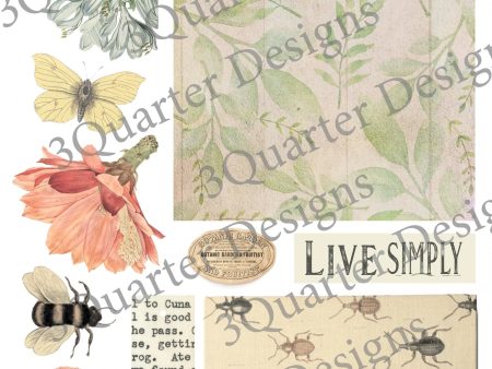 3Quarter Designs - Mini Project Sheet - Botany For Discount