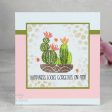 Woodware Clear Singles Build A Cactus 4 in x 6 in Stamp Cheap