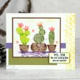 Woodware Clear Singles Build A Cactus 4 in x 6 in Stamp Cheap